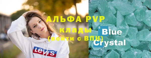 сатива Кинешма