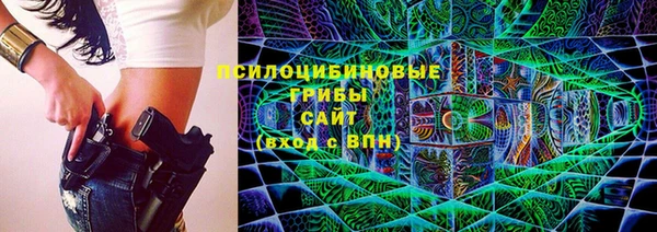 сатива Кинешма
