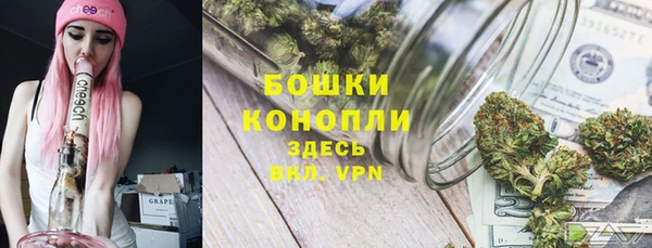 сатива Кинешма