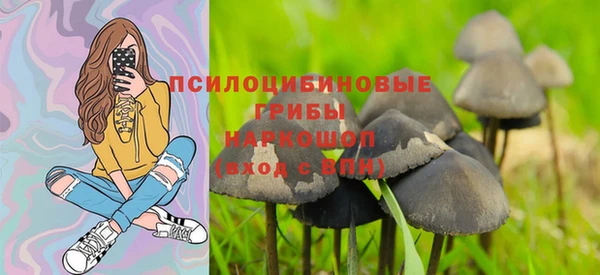 сатива Кинешма